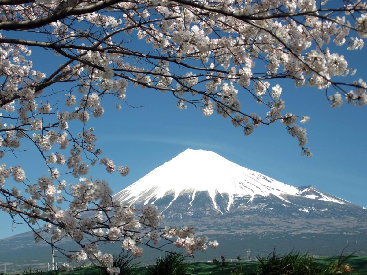Fuji-shi Business Hotel Furuiya Ryokan Fuji  Bagian luar foto